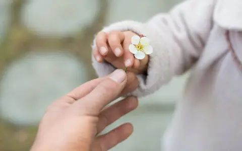 Mercoledì della XXII settimana del tempo ordinario