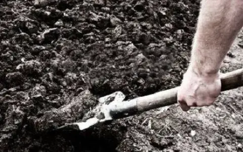 Sabato della XXIX settimana del tempo ordinario