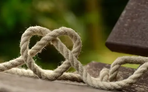 Venerdì della XXX settimana del tempo ordinario