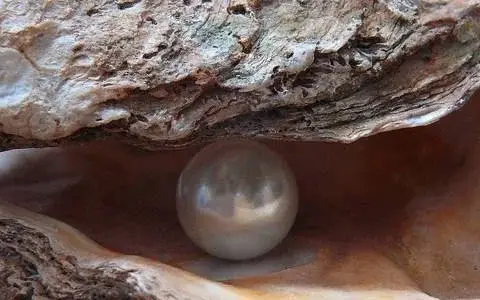 Le ceneri