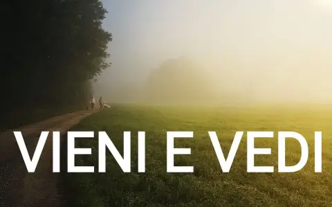 Feria prima dell’Epifania