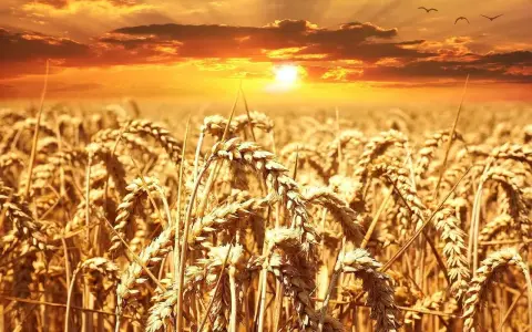 Sabato della XXII settimana del tempo ordinario