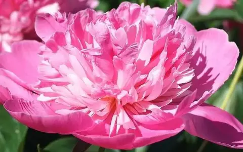 Martedì della VI settimana di Pasqua
