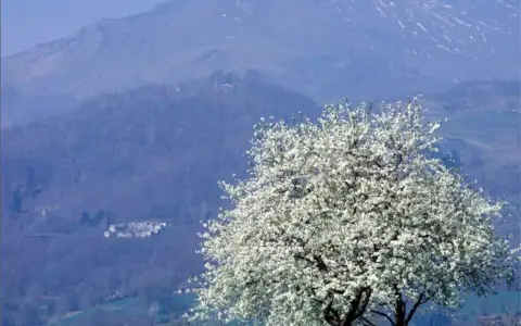 Venerdì della VII settimana del Tempo Ordinario