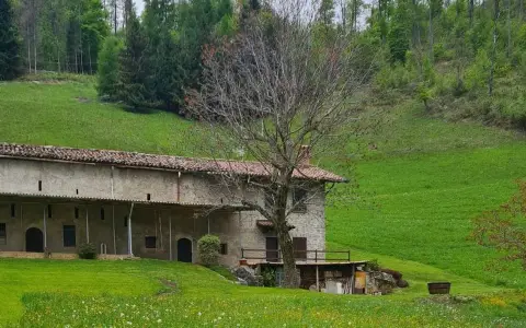 San Pietro Crisologo, Vescovo e Dottore della Chiesa