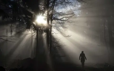 Mercoledì della II settimana di Pasqua
