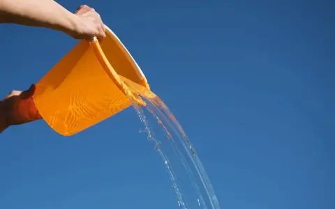 Giovedì XIX settimana Tempo Ordinario